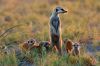 Filename=i_295.jpg
Filesize=30KB
Dimensions=480x319
Date added=Dec 03, 2018 i_295.jpg